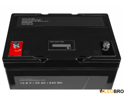 Акумулятор 50Ah 12.8V LiFePO4 Green Cell (CAV06) - 2