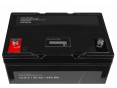 Акумулятор 50Ah 12.8V LiFePO4 Green Cell (CAV06) - 2